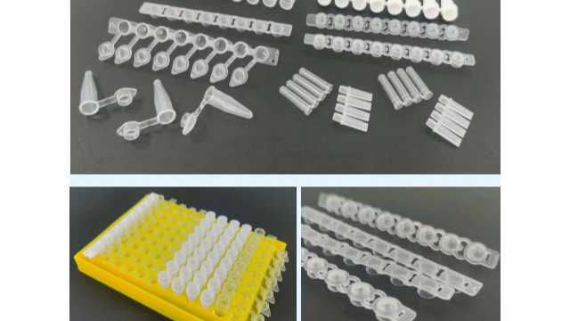 PCR 管：?jiǎn)喂堋? 排管與 8 排管的特點(diǎn)與應(yīng)用